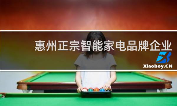 惠州正宗智能家电品牌企业