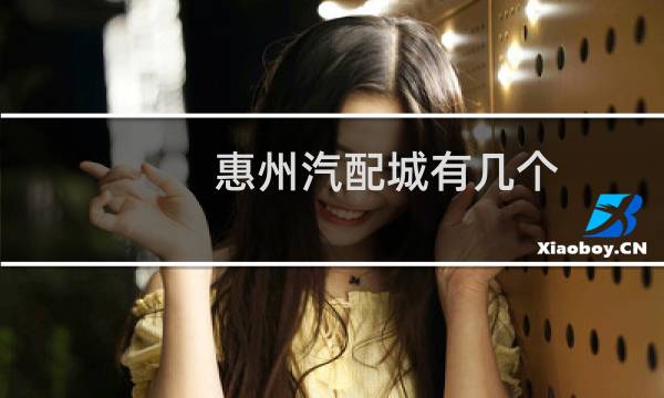 惠州汽配城有几个