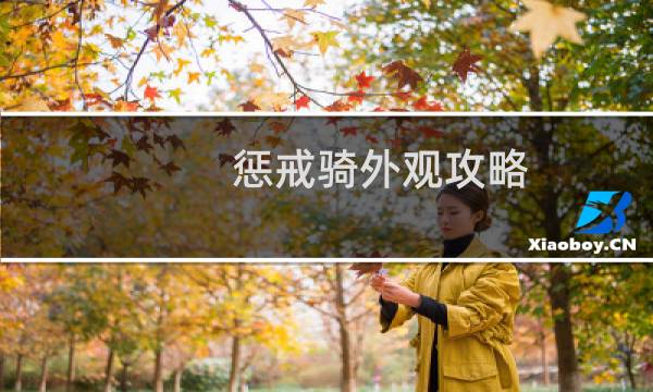 惩戒骑外观攻略