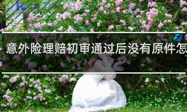 意外险理赔初审通过后没有原件怎么办