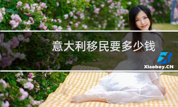 意大利移民要多少钱