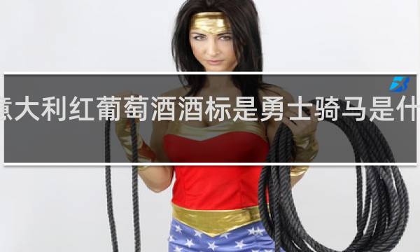 意大利红葡萄酒酒标是勇士骑马是什么牌子?