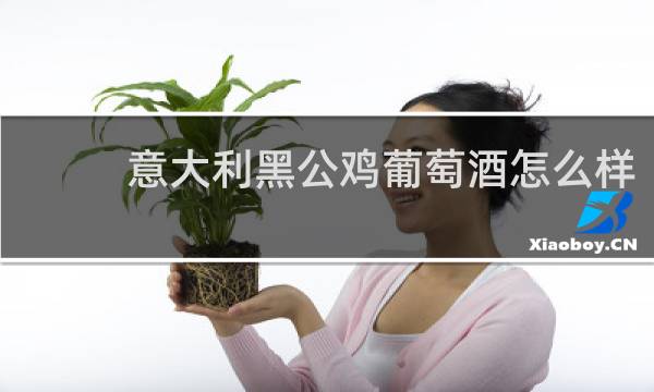 意大利黑公鸡葡萄酒怎么样