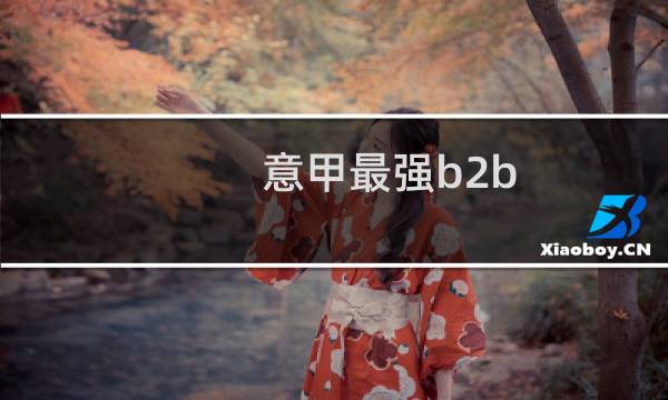 意甲最强b2b