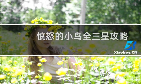 愤怒的小鸟全三星攻略