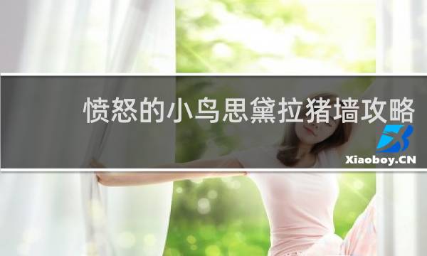 愤怒的小鸟思黛拉猪墙攻略