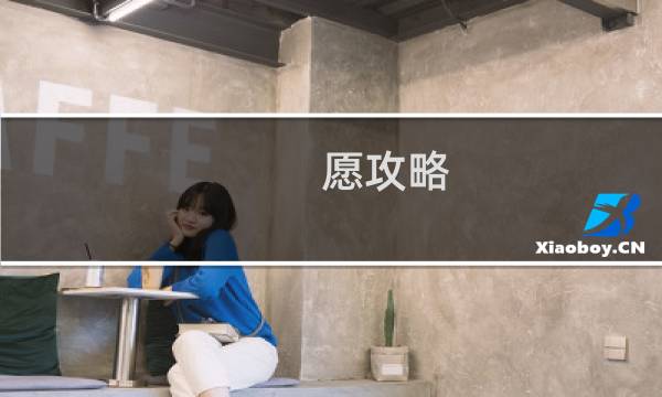 愿攻略
