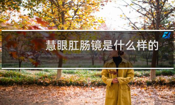 慧眼肛肠镜是什么样的