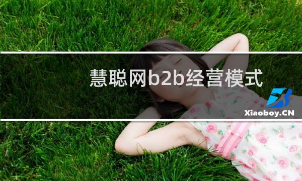 慧聪网b2b经营模式