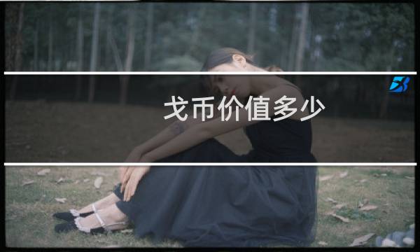 戈币价值多少