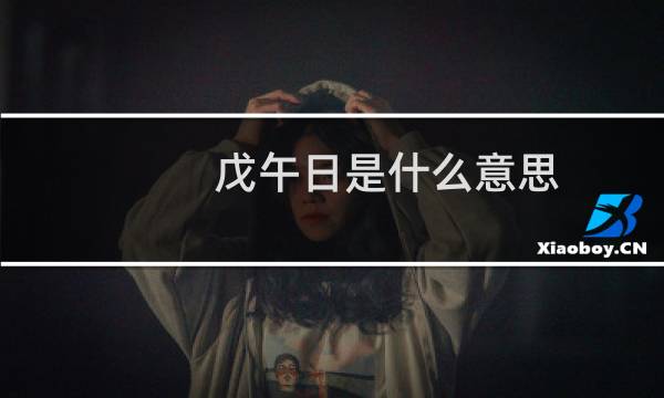 戊午日是什么意思