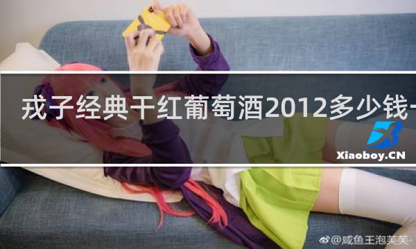 戎子经典干红葡萄酒2012多少钱一瓶