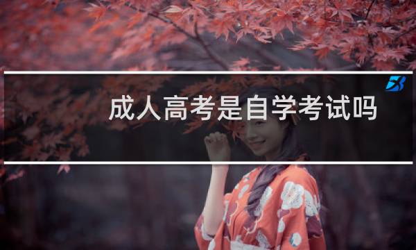 成人高考是自学考试吗