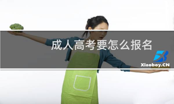 成人高考要怎么报名