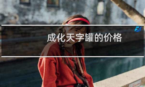 成化天字罐的价格