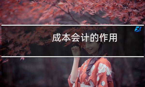 成本会计的作用