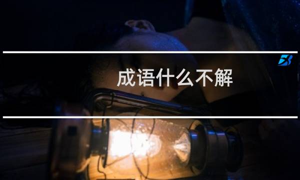 成语什么不解
