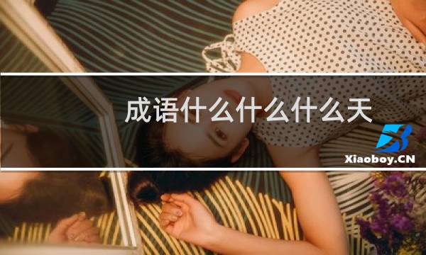 成语什么什么什么天