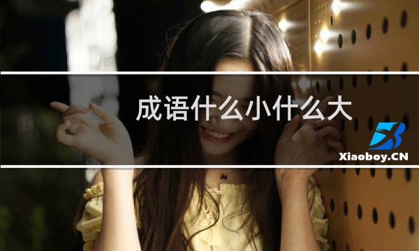 成语什么小什么大