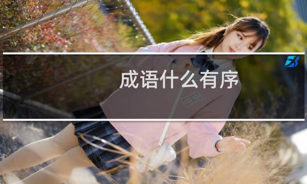 成语什么有序