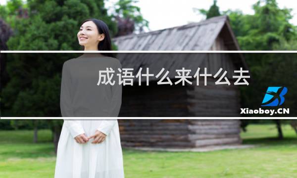 成语什么来什么去