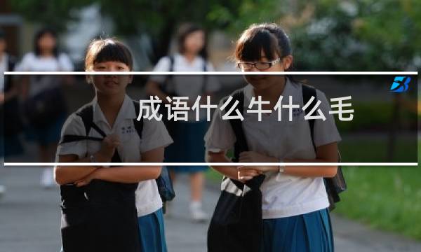 成语什么牛什么毛