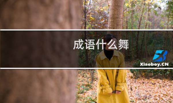 成语什么舞