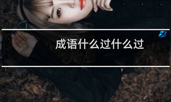 成语什么过什么过