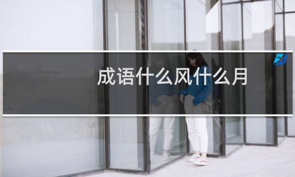 成语什么风什么月