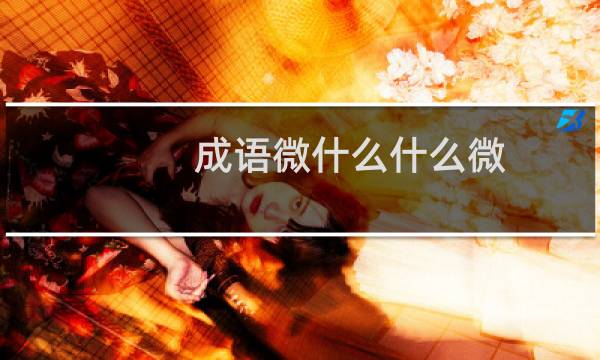 成语微什么什么微
