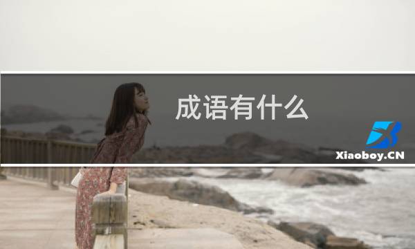 成语有什么