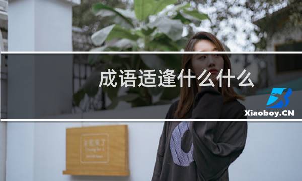 成语适逢什么什么