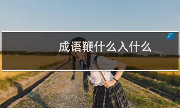 成语鞭什么入什么