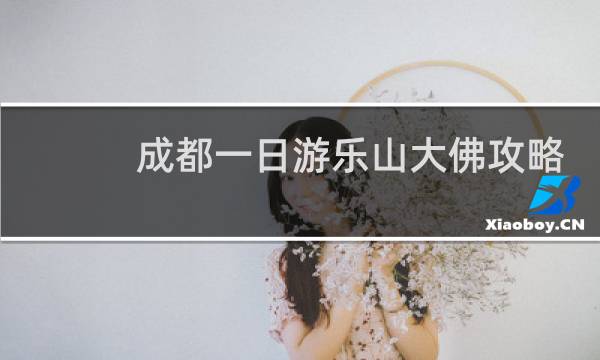 成都一日游乐山大佛攻略