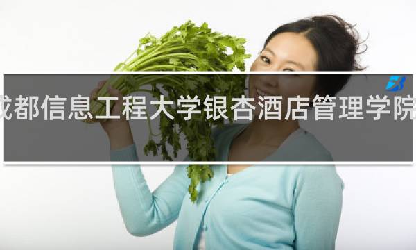 成都信息工程大学银杏酒店管理学院怎么样