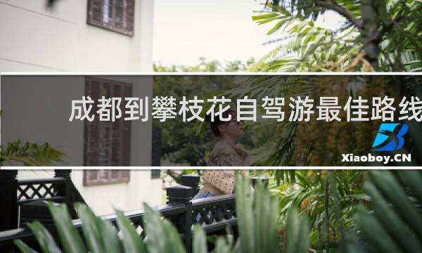 成都到攀枝花自驾游最佳路线