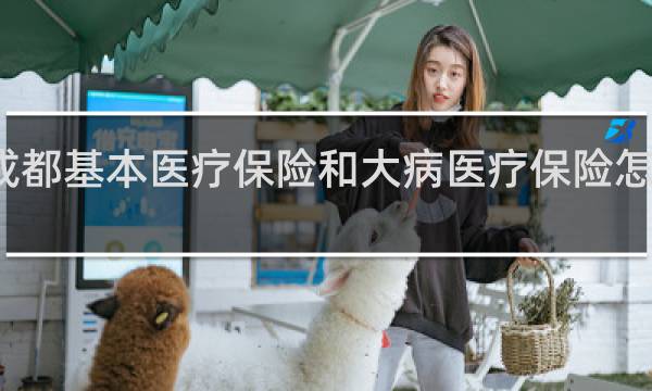 成都基本医疗保险和大病医疗保险怎么报销