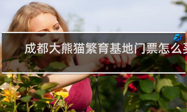 成都大熊猫繁育基地门票怎么买
