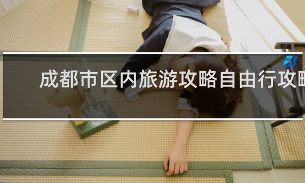 成都市区内旅游攻略自由行攻略