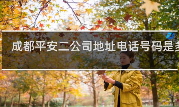 成都平安二公司地址电话号码是多少