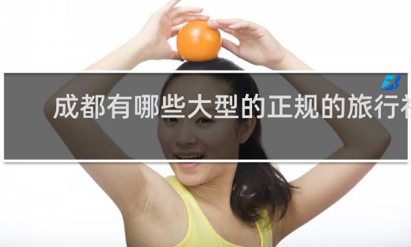 成都有哪些大型的正规的旅行社