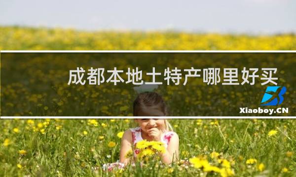 成都本地土特产哪里好买