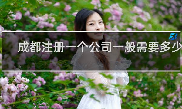 成都注册一个公司一般需要多少钱
