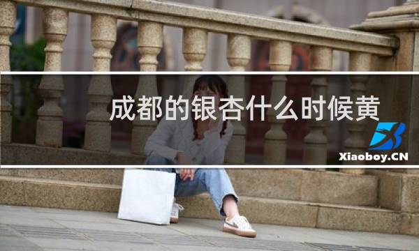 成都的银杏什么时候黄