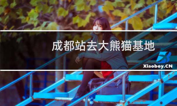 成都站去大熊猫基地