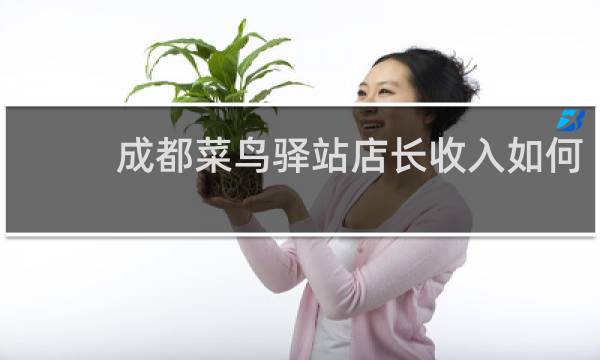 成都菜鸟驿站店长收入如何
