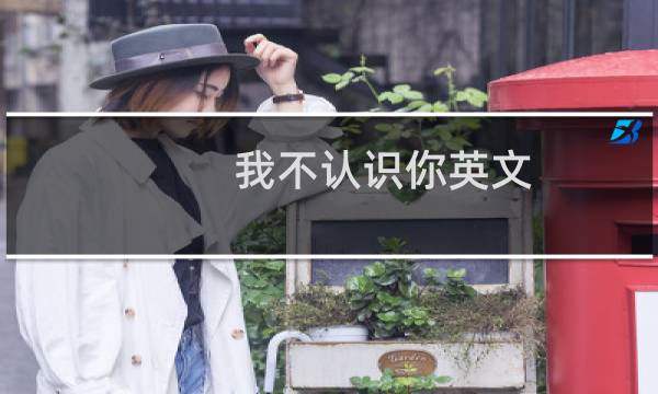 我不认识你英文