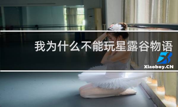 我为什么不能玩星露谷物语