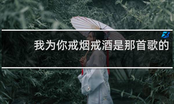 我为你戒烟戒酒是那首歌的