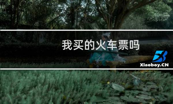 我买的火车票吗